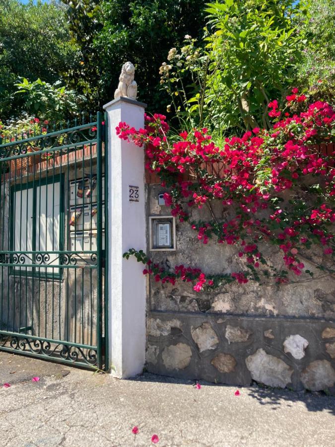 ヴィーコ・エクエンセLa Terrazzaアパートメント エクステリア 写真